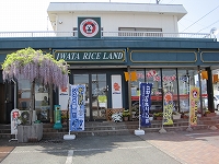 イワタライスランド本店